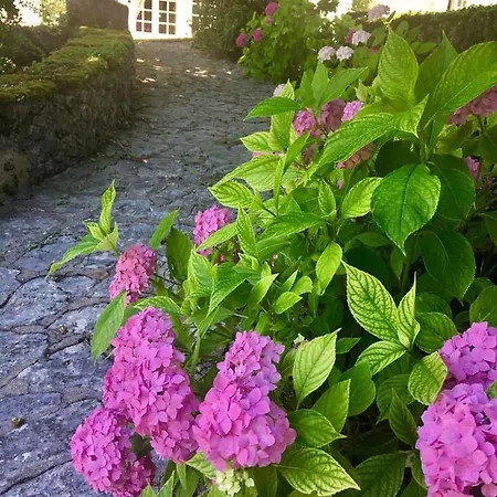 Les Templiers Bed & Breakfast